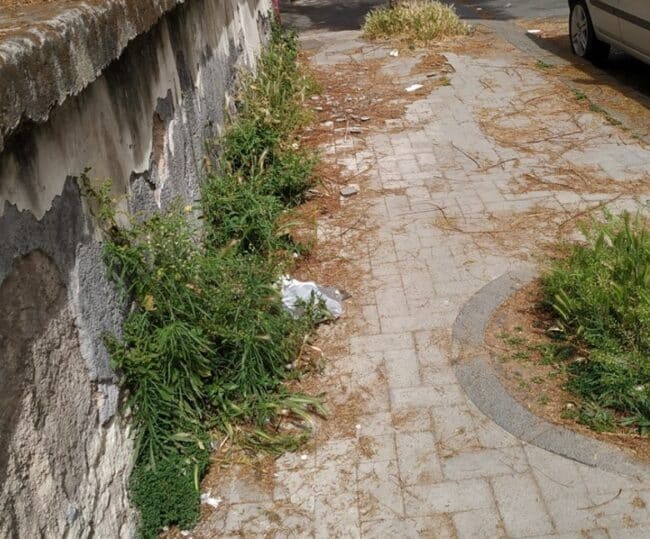 Assenza manutenzione del verde nel quartiere Borgo-Sanzio. Comitato Vulcania: “Impiegare percettori Reddito di Cittadinanza”