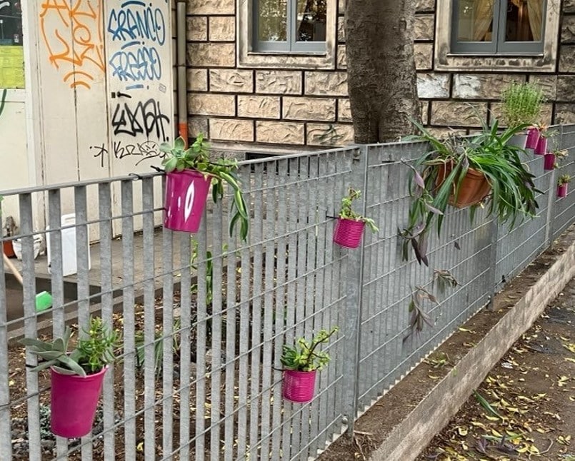 Catania, pulizia e cura del verde: l’iniziativa di alcuni cittadini del quartiere Borgo-Sanzio – FOTO e VIDEO
