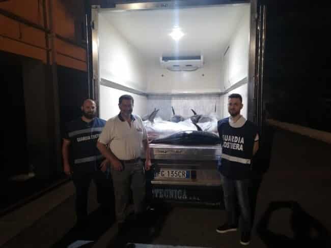 Maxi sequestro di tonni nel Palermitano