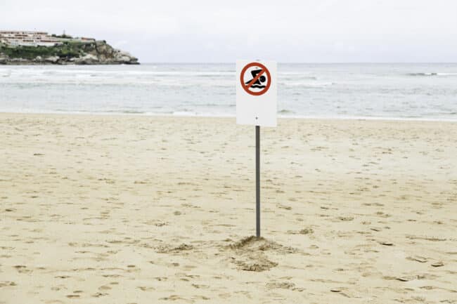 Batteri fecali in mare a Sferracavallo, scatta divieto di balneazione