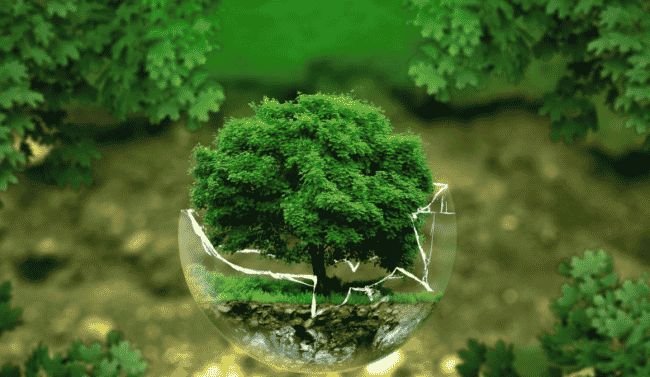 Arriva il primo rapporto Censis-Green&Blue sulla transizione ecologica: male le città siciliane
