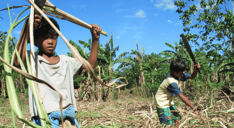 Sfruttamento del lavoro minorile, si combatte oggi contro uno dei fenomeni più diffusi di sempre