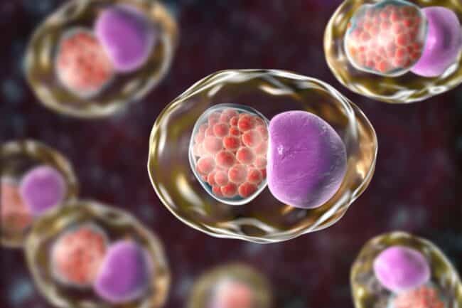 Infezioni Sessualmente Trasmissibili e Papilloma Virus, il 3 e il 4 giugno a Palermo screening gratuito contro HIV