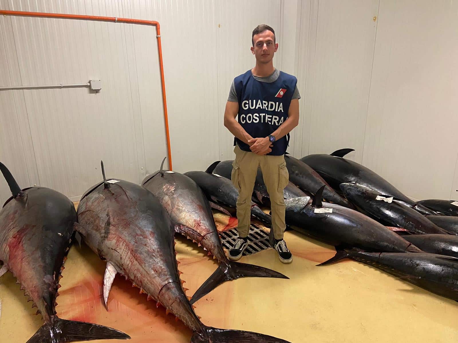 Catania, sequestrati 13 esemplari di tonno rosso