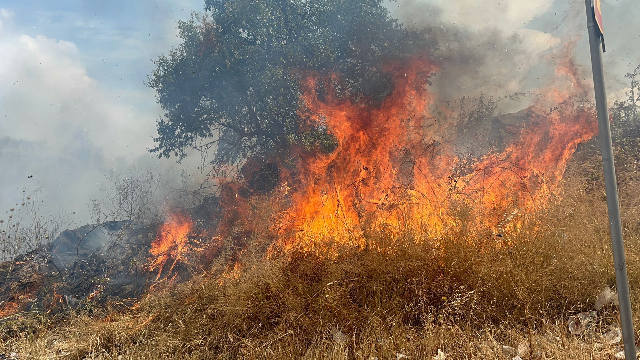 Incendio a Catania, ennesimo rogo in città: una zona di sterpaglie prende fuoco – FOTO E VIDEO