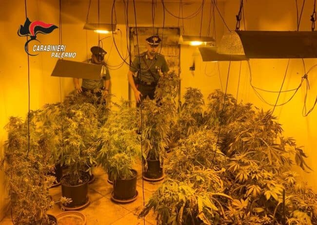 Coltivava chili di marijuana allacciato alla rete elettrica pubblica: arrestato insieme al padrone di casa