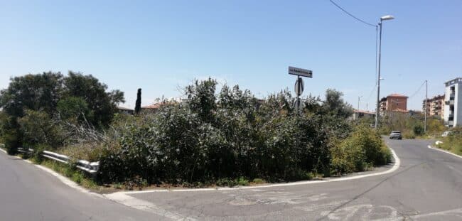 Emergenza roghi a Catania, Buceti: “Necessario predisporre un piano di prevenzione incendi”