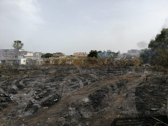 Emergenza incendi a Catania, le richieste di Cardello e Saverino