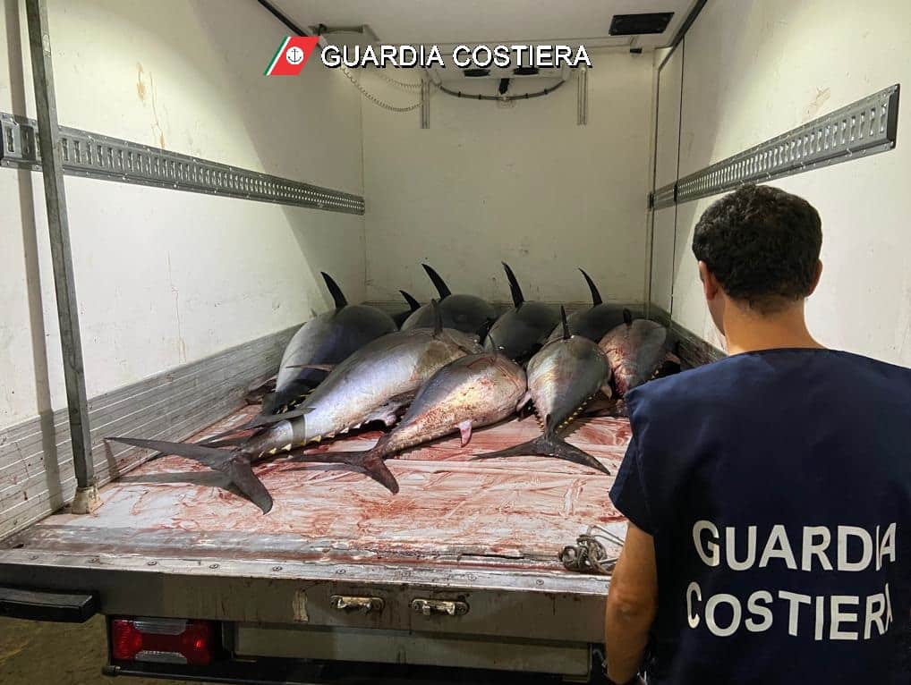 Operazione in mare, oltre 130 controlli: sequestrati 1.500 kg di pesce, ad Acireale tonno rosso senza tracciabilità