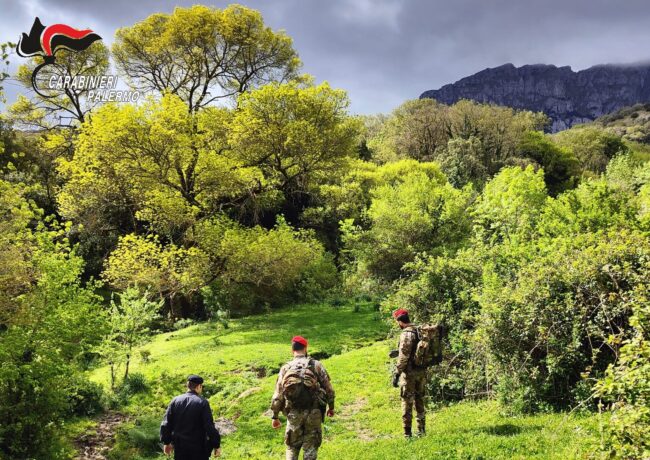 Animali rinchiusi in recinti strettissimi e in pessime condizioni igienico-sanitarie: denunciato 71enne