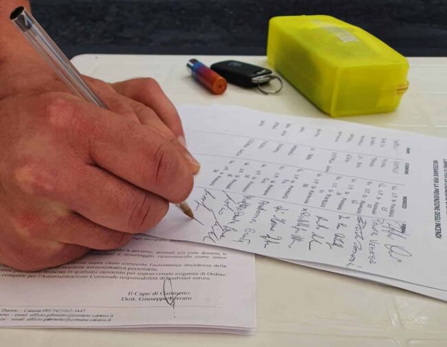 Da Catania a Vaccarizzo, raccolta firme per prevenire gli incendi
