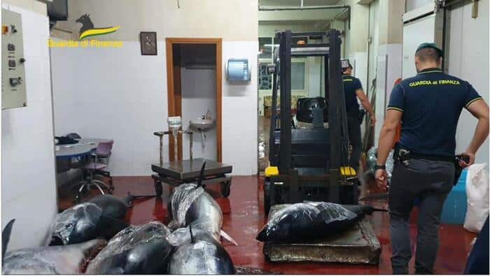 Vendita di pesce senza tracciabilità: sequestrate 4,5 tonnellate di tonno rosso