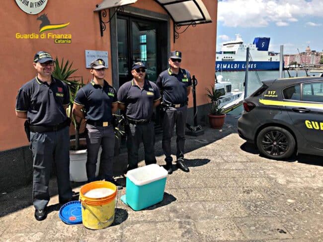 Sequestrati al Porto di Catania 60 chili di “bianchetto”