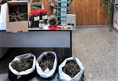 Coltivava erba “pregiata” in casa: arrestato un pusher nel Catanese