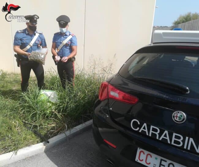Nascondeva marijuana in un pollaio e letame delle galline per coprire l’odore: 57enne ai domiciliari