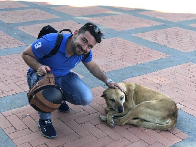 Giarre, riduzione della Tari per chi adotta un cane. Barbagallo: “Proviamo ad arginare il fenomeno del randagismo”