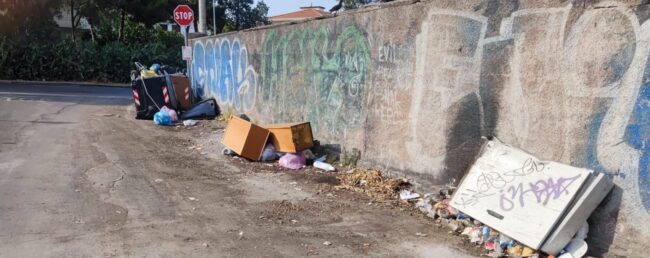 Repressione e multe agli “sporcaccioni”: parla il presidente del IV Municipio Buceti