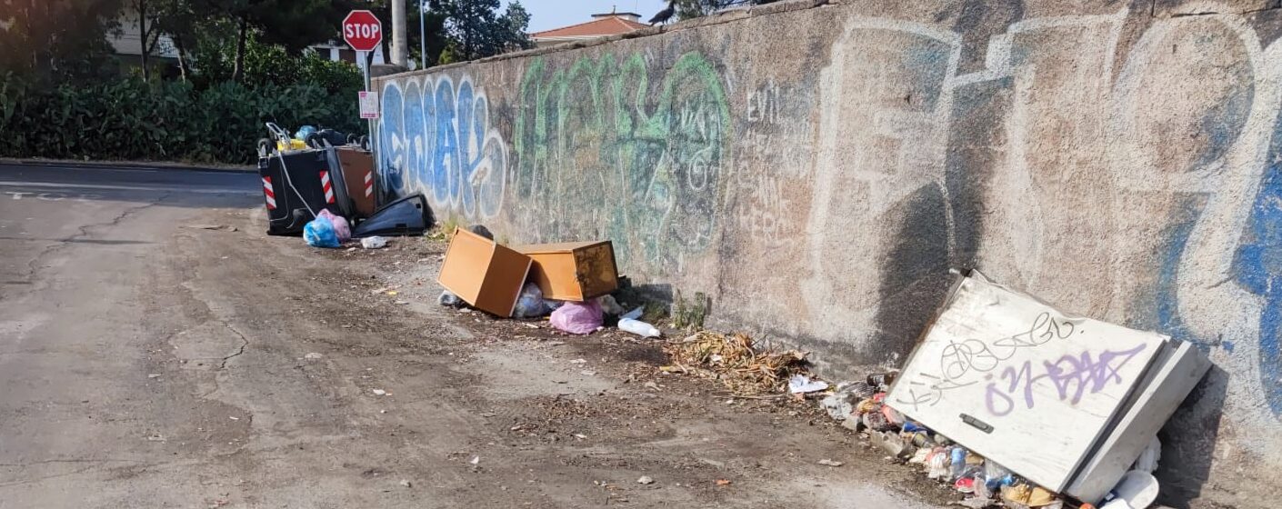 Repressione e multe agli “sporcaccioni”: parla il presidente del IV Municipio Buceti