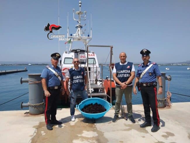 Pesca abusiva, 50 chilogrammi di ricci di mare sequestrati e sanzionati due pescatori