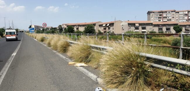 Asse attrezzato di Catania, il PD chiede interventi urgenti di pulizia e potatura