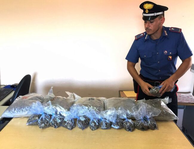 Arrestate nel messinese due giovani spacciatrici, la droga veniva venduta all’interno di un uliveto