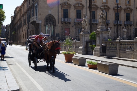 Raccolta firme a Palermo “contro l’utilizzo dei cavalli per le carrozze”