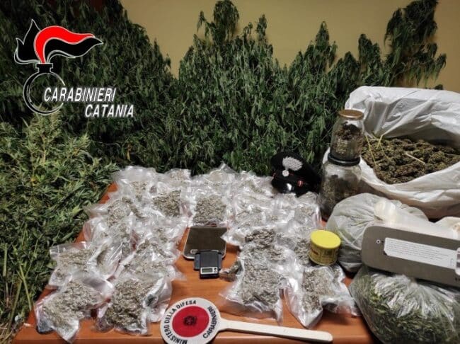 Abitazione adibita a “fabbrica” di droga: 42enne ai domiciliari, denunciata la compagna