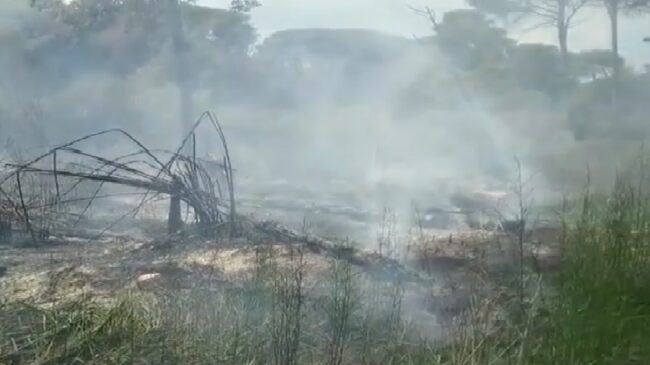 Incendio al boschetto della playa: Forestale sul posto