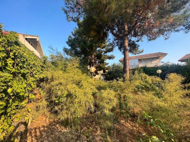 Giarre, volontari e residenti ripuliscono un’area a verde pubblica. Barbagallo: “Piccolo grande gesto d’amore”