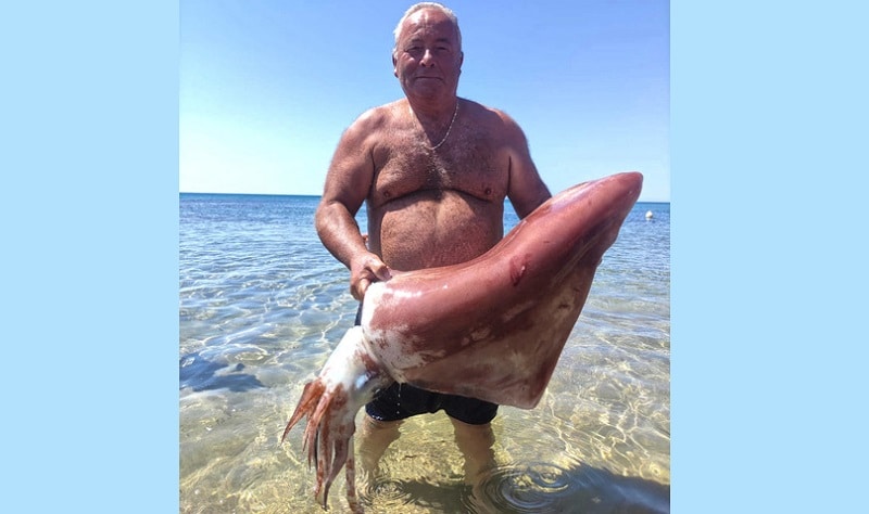 Calamaro gigante di oltre un metro pescato nel Trapanese: “L’ho preso a mani nude”