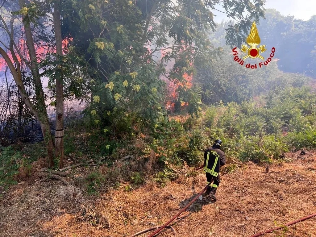 Fiamme alte e fumo ad Aci Catena, brucia la collina di Vampolieri: vigili del fuoco in azione – VIDEO