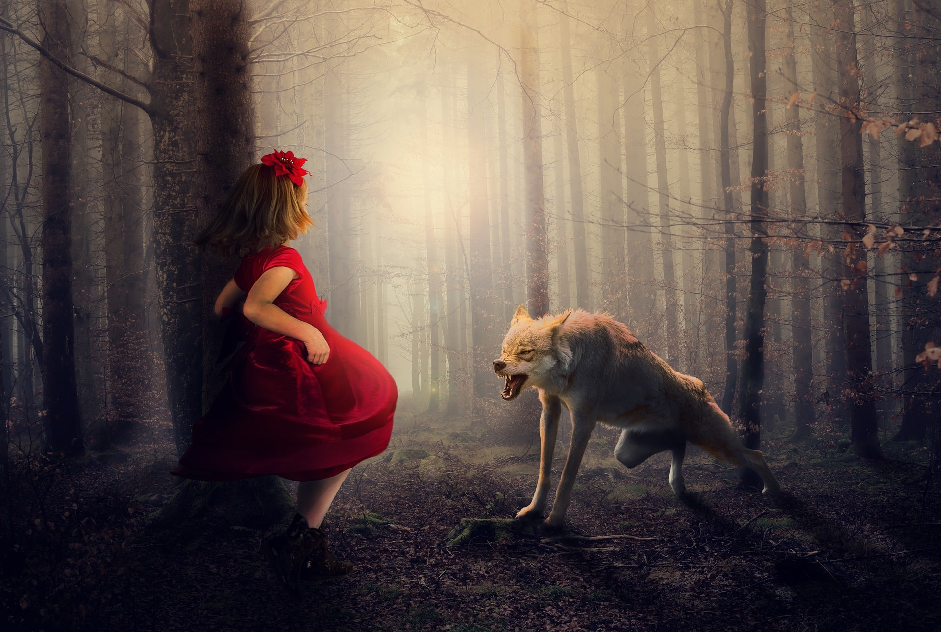 L’augurio “in bocca al lupo” nel mirino degli animalisti: “Cappuccetto rosso? Una favola da abolire, offende il lupo”