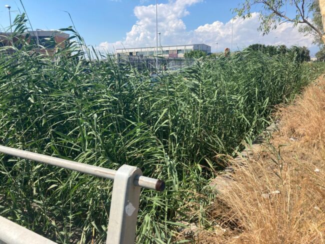 Zona industriale Catania, torrenti e canali di scolo ostruiti: la Ugl Metalmeccanici chiede interventi urgenti