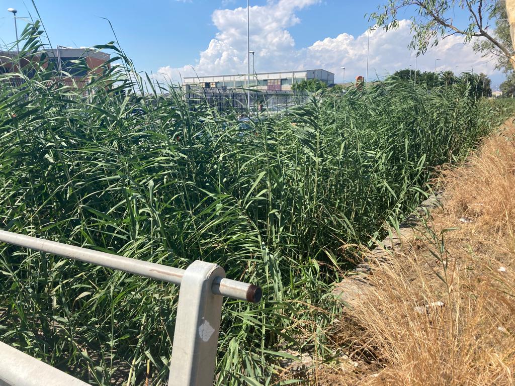 Zona industriale Catania, torrenti e canali di scolo ostruiti: la Ugl Metalmeccanici chiede interventi urgenti
