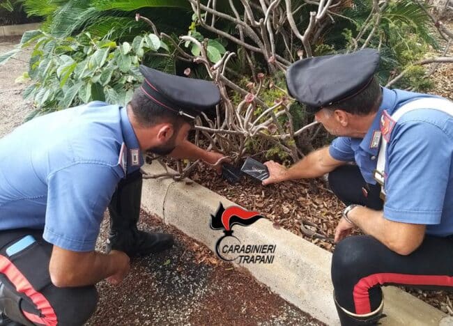 Ruba profumi da un negozio e cerca di nasconderli in un’aiuola: arrestato