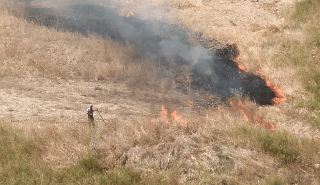 Pensionato appicca un incendio in campagna, volontari WWF filmano tutto – IL VIDEO