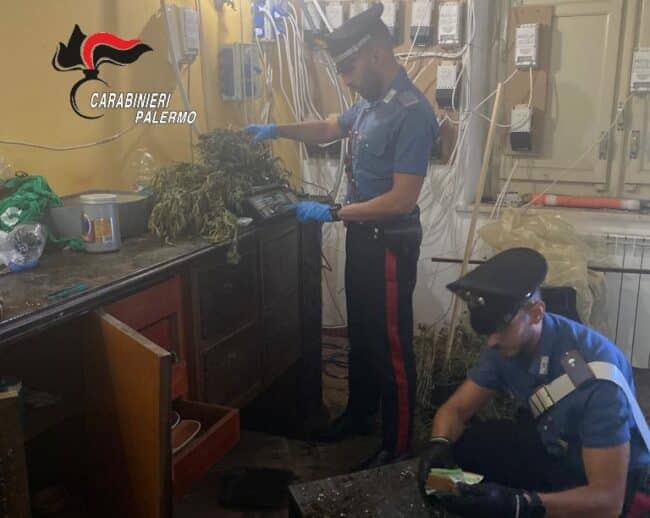 Coltivazione di cannabis, rinvenuti e sequestrati circa 180 esemplari: 50enne incastrato da insolito viavai