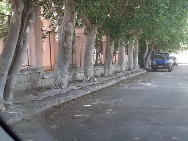 Raccolta dei rifiuti a Palermo, in corso gli interventi di recupero in alcune vie della zona Nord della città