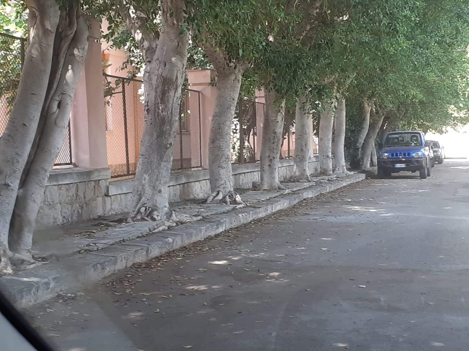 Raccolta dei rifiuti a Palermo, in corso gli interventi di recupero in alcune vie della zona Nord della città