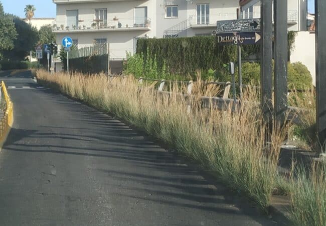 Quartiere Borgo-Sanzio, Comitato Vulcania: “Sembra una piccola jungla”, serve manutenzione. Impiegare percettori RdC