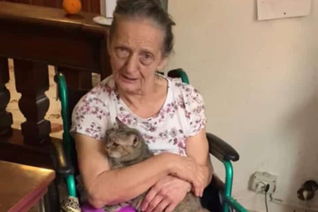 Gara di solidarietà a Catania per aiutare i cuccioli della signora Domenica Lauretta