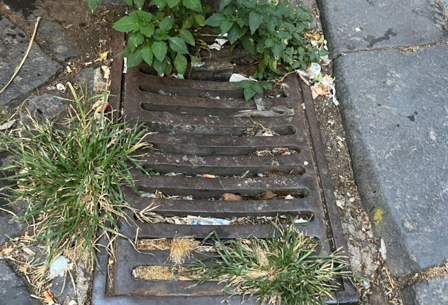 Tanti tombini ancora otturati a Catania. Le segnalazioni del Comitato CataniaNostra