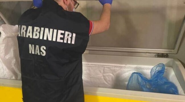Blitz dei Nas in un ristorante del centro di Lampedusa: sequestrati oltre 11 chilogrammi di alimenti non tracciati