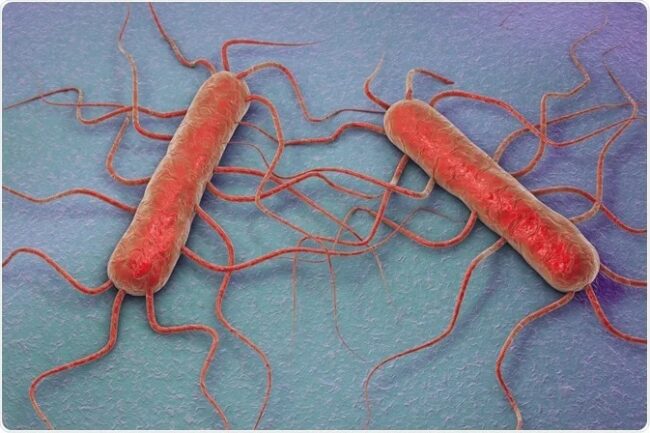 Aumentano i casi di listeria, ritirati diversi alimenti dal mercato: sintomi e come difendersi