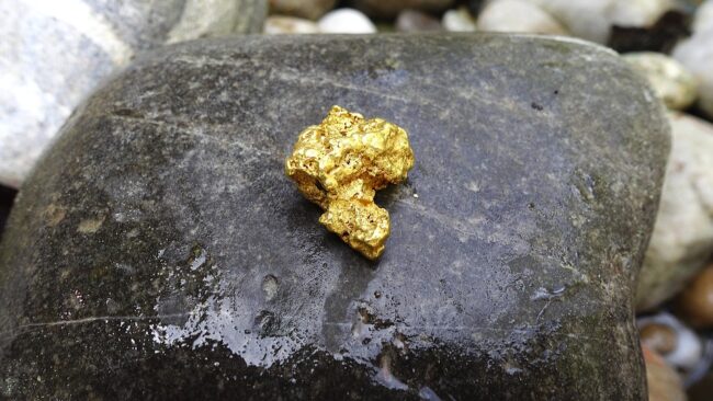 Crede di acquistare una pepita d’oro invece è una pietra senza valore