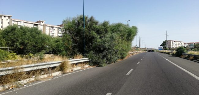 Di giorno e di notte continuano i problemi sull’Asse Attrezzato a Catania, l’allarme lanciato dal comitato Romolo Murri