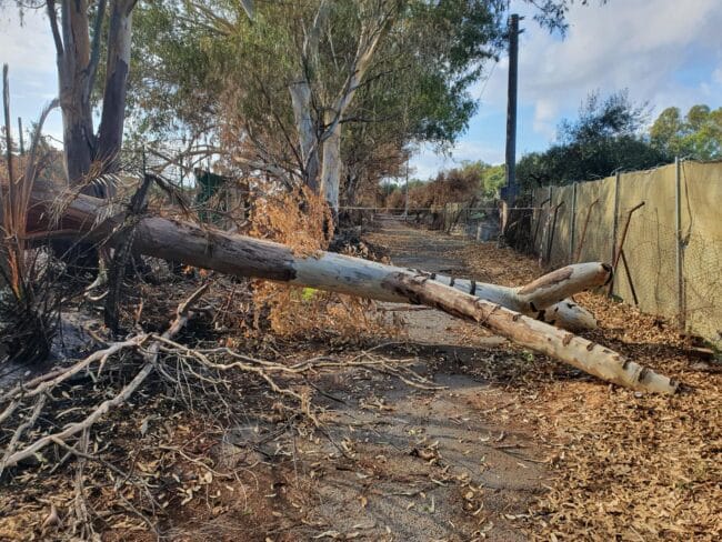 Vaccarizzo, raccolta firme per sollecitare la messa in sicurezza di via Biscia di Mare
