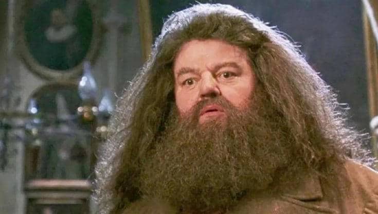 Addio a Robbie Coltrane, era Hagrid nei film di Harry Potter