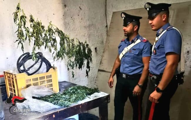 Arrestati due pastori, nascondevano droga dentro una stalla