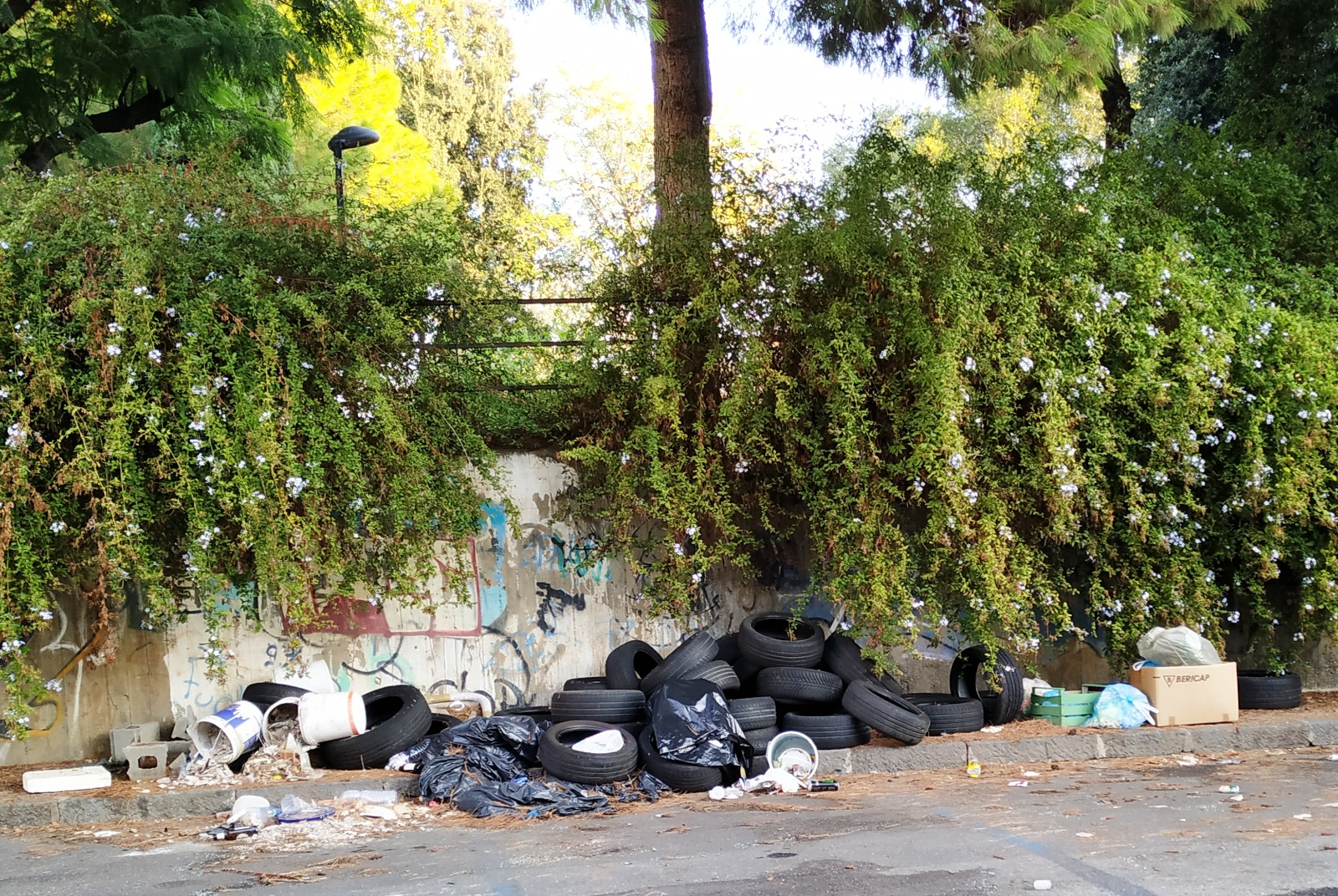 Catania, quartiere Borgo-Sanzio sommerso dai rifiuti: “Nessuno viene a pulire” – LE FOTO